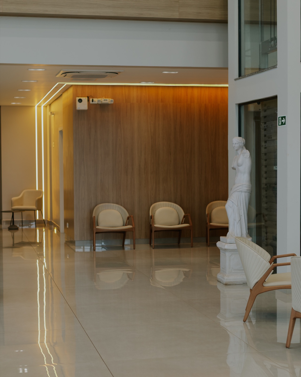 Clínica e Hospital SAINE, locais de atendimento da Drª Louise Iunklaus